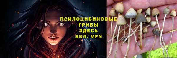 Альфа ПВП Нефтекумск