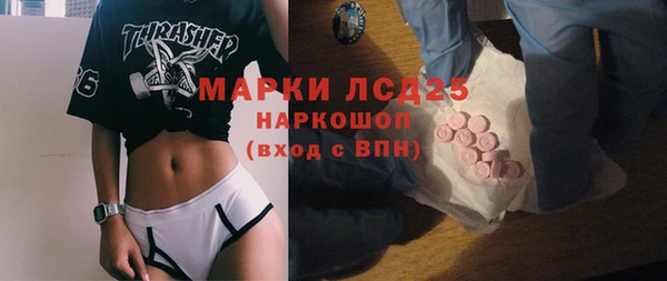 прущие грибы Надым