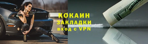 прущие грибы Надым