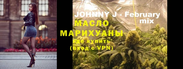 индика Михайловск