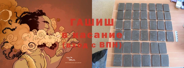 прущие грибы Надым